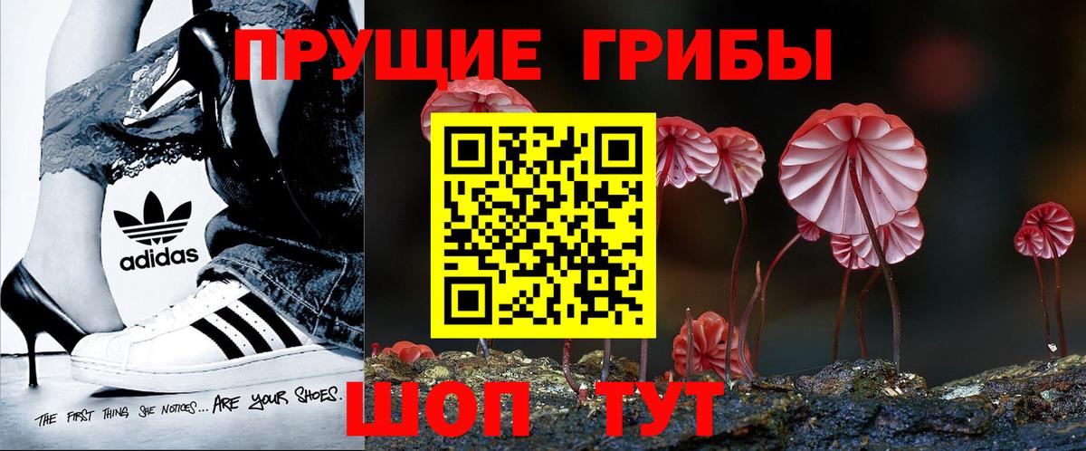 Черкесск  Галлюциногенные грибы Cubensis  Вход с VPN 