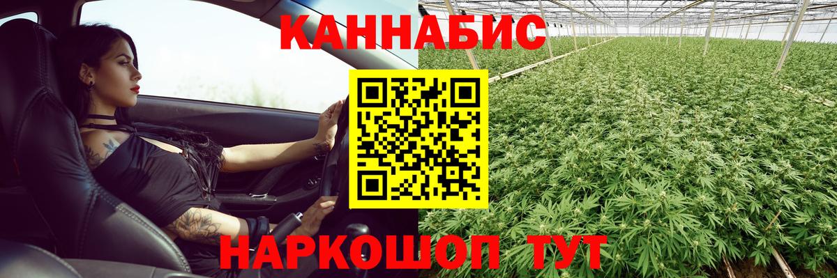 Шишки марихуана семена Черкесск